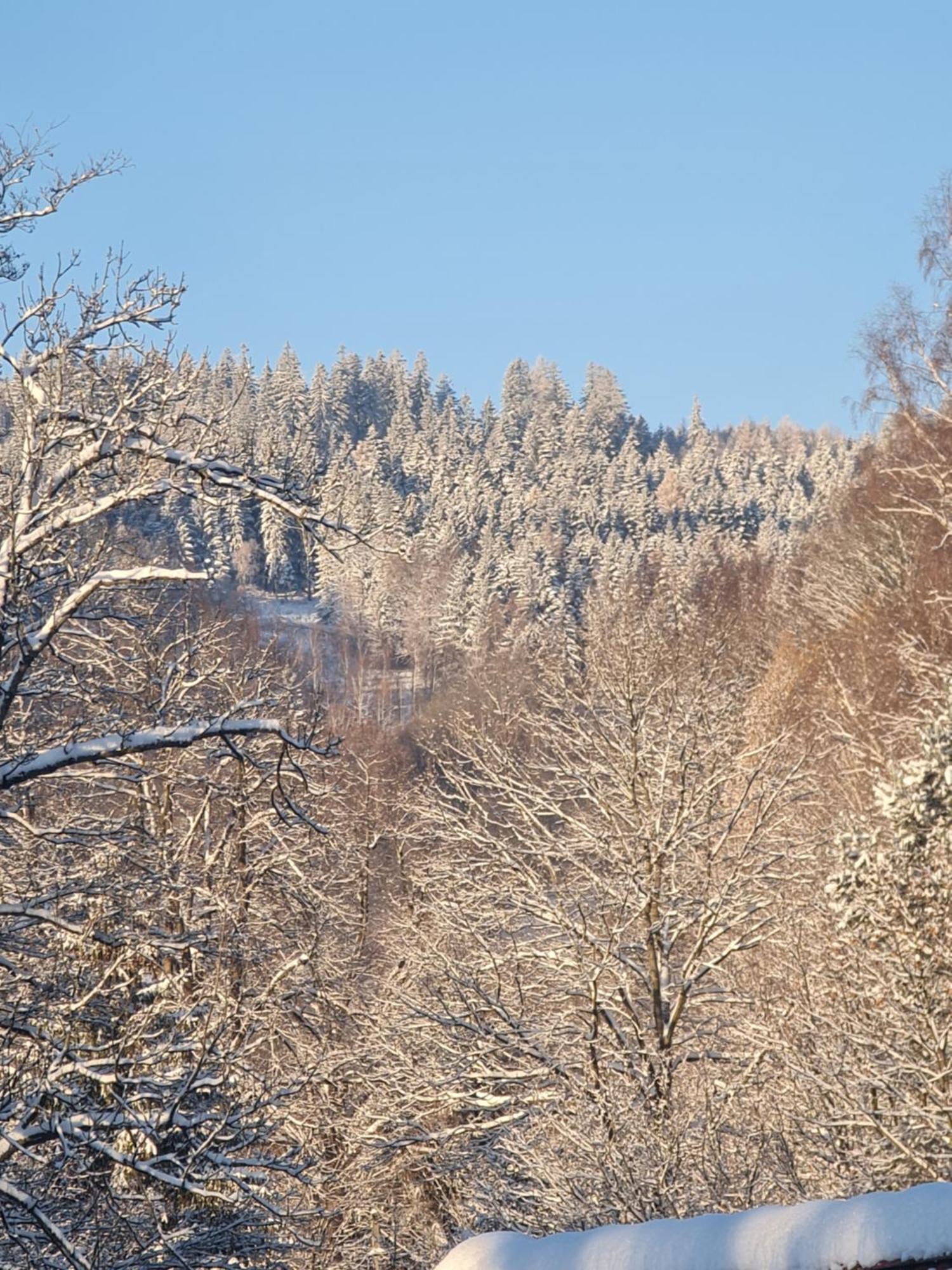 Sieraton Pokoje I Apartament Stronie Śląskie Exteriör bild