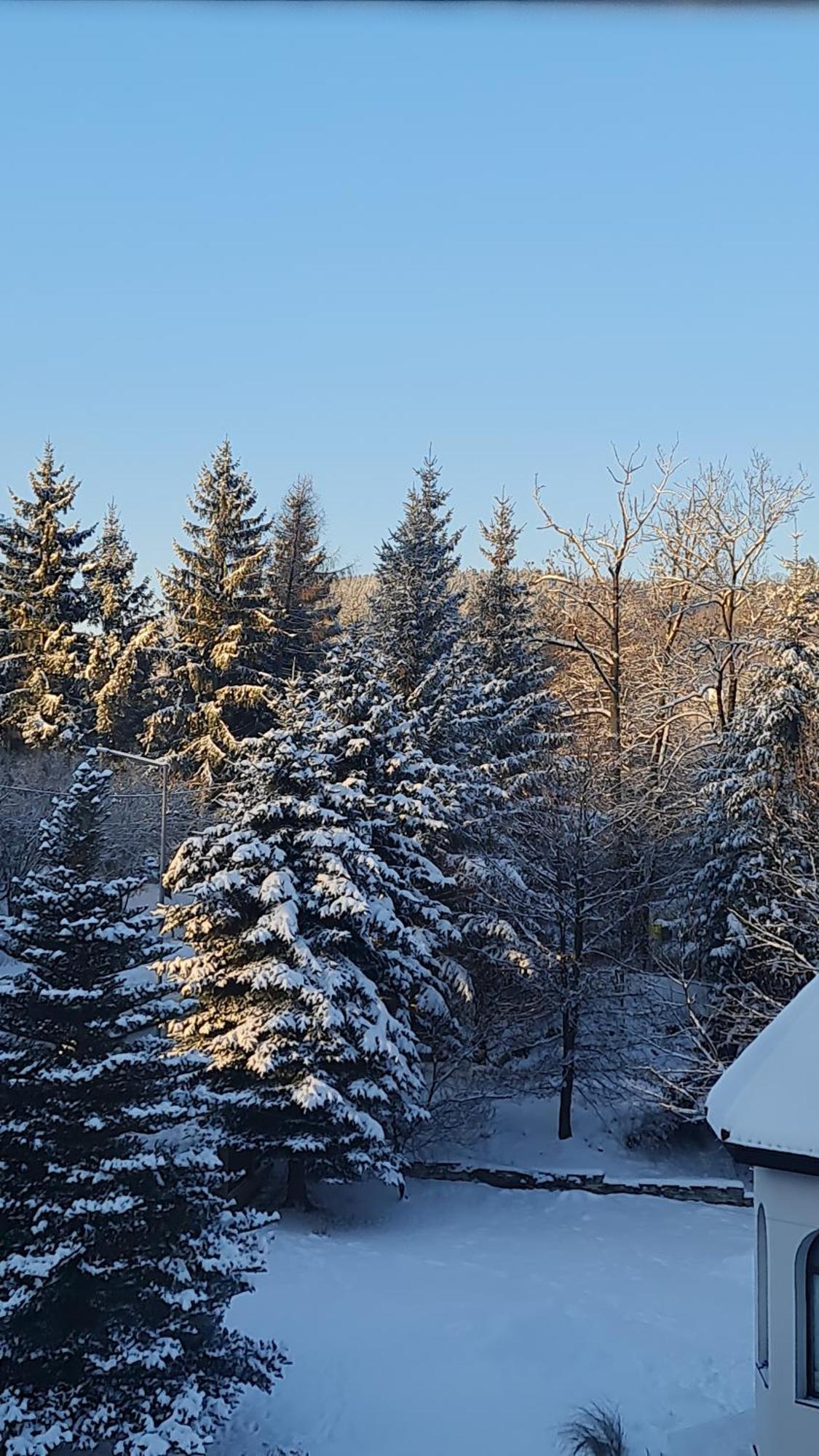Sieraton Pokoje I Apartament Stronie Śląskie Exteriör bild