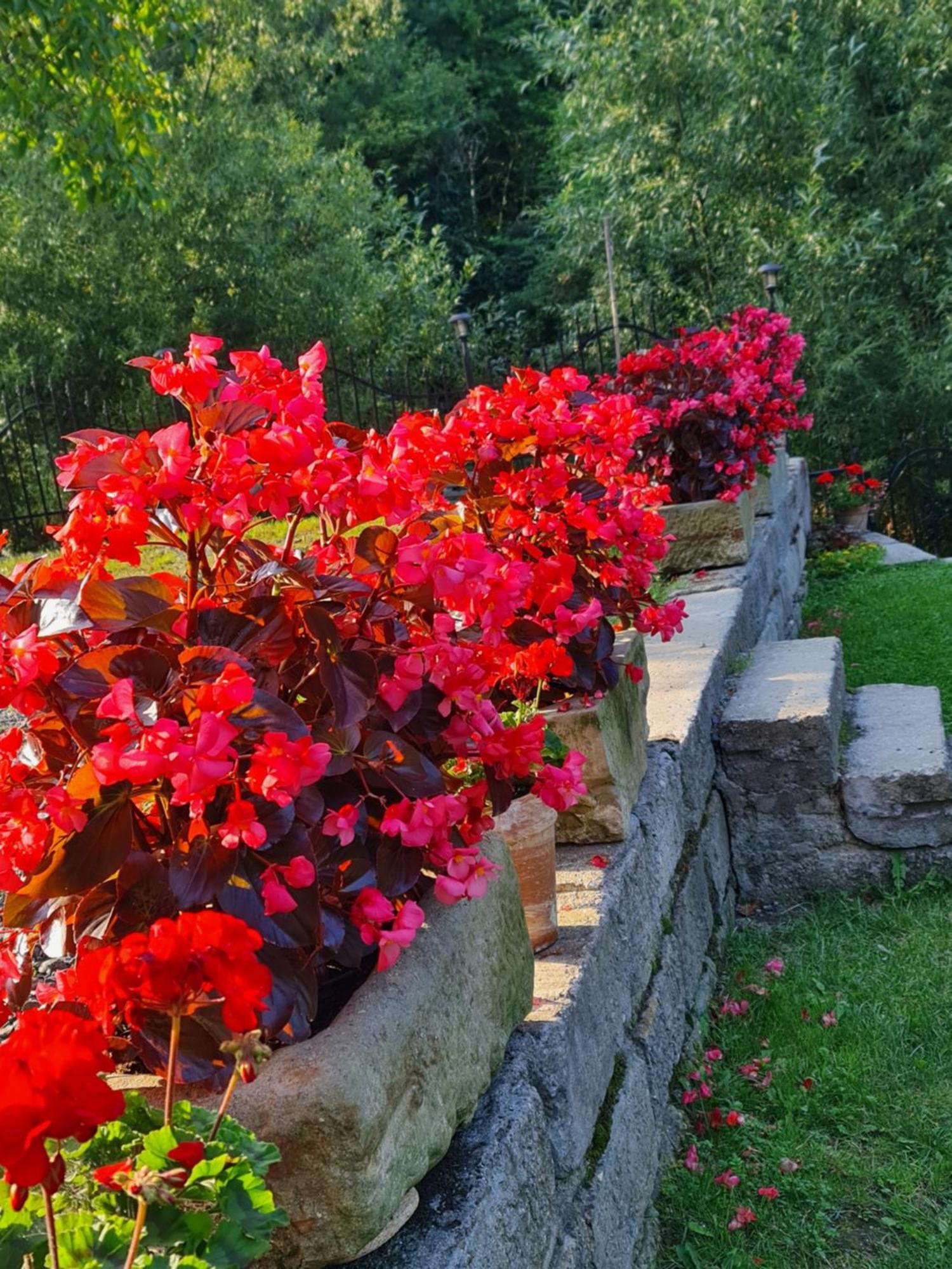 Sieraton Pokoje I Apartament Stronie Śląskie Exteriör bild